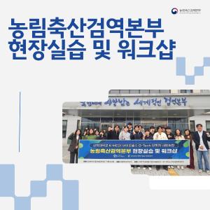 이미지 없음