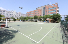 Basketball Court