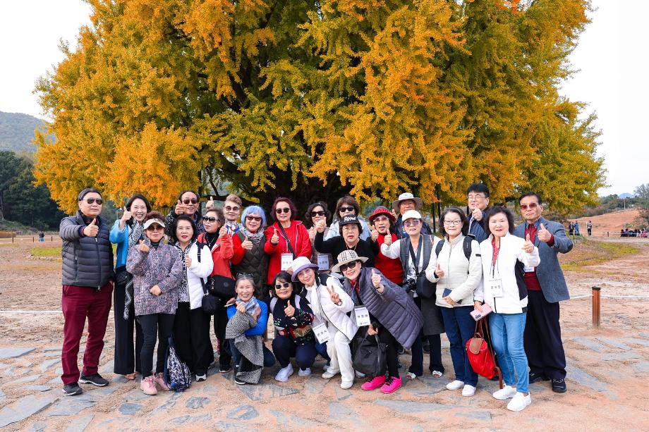 상지대, 액티브 시니어 호주 교민과 가을을 만끽하는 2주간 교육과정 마쳐 3