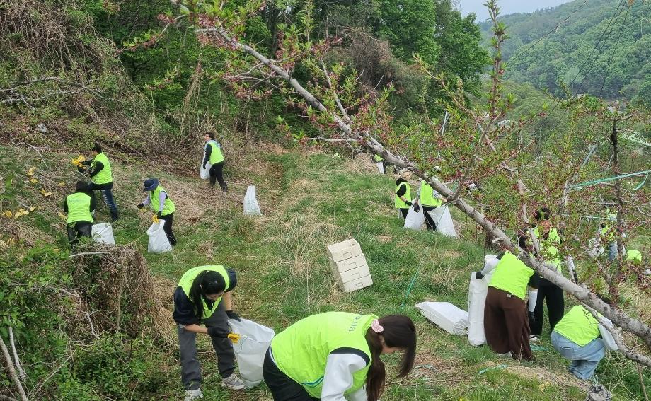 사회봉사단, 강원농협과 함께 농촌일손돕기 나서 8