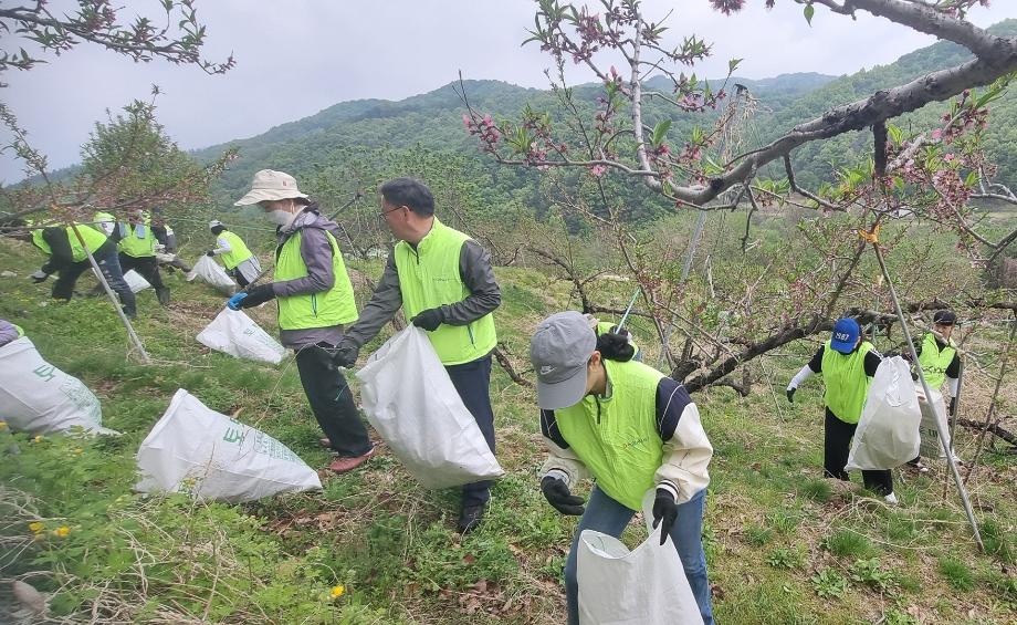사회봉사단, 강원농협과 함께 농촌일손돕기 나서 9
