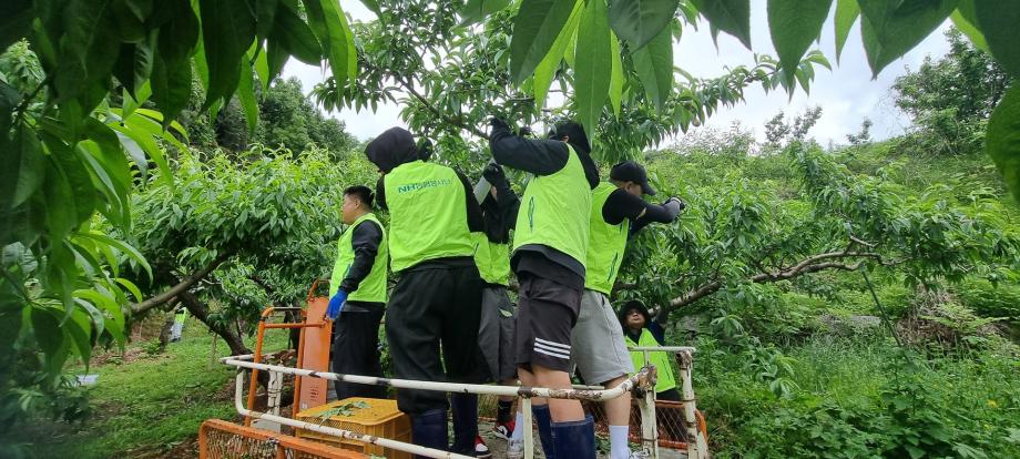 사회봉사단, 강원농협과 함께 농촌일손돕기 봉사활동 진행 11