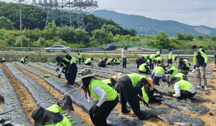 사회봉사단, '농심천심 대학생 봉사대' 참여... 지역사회 상생 실천 7