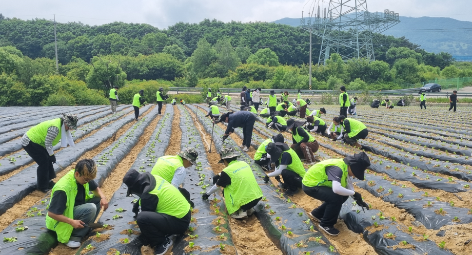 사회봉사단, '농심천심 대학생 봉사대' 참여... 지역사회 상생 실천 8