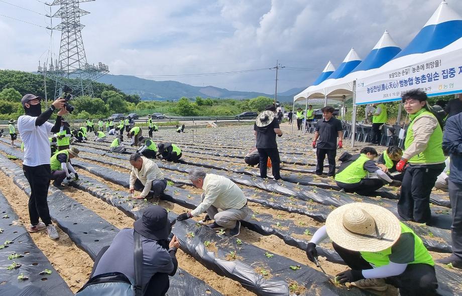 사회봉사단, '농심천심 대학생 봉사대' 참여... 지역사회 상생 실천 9