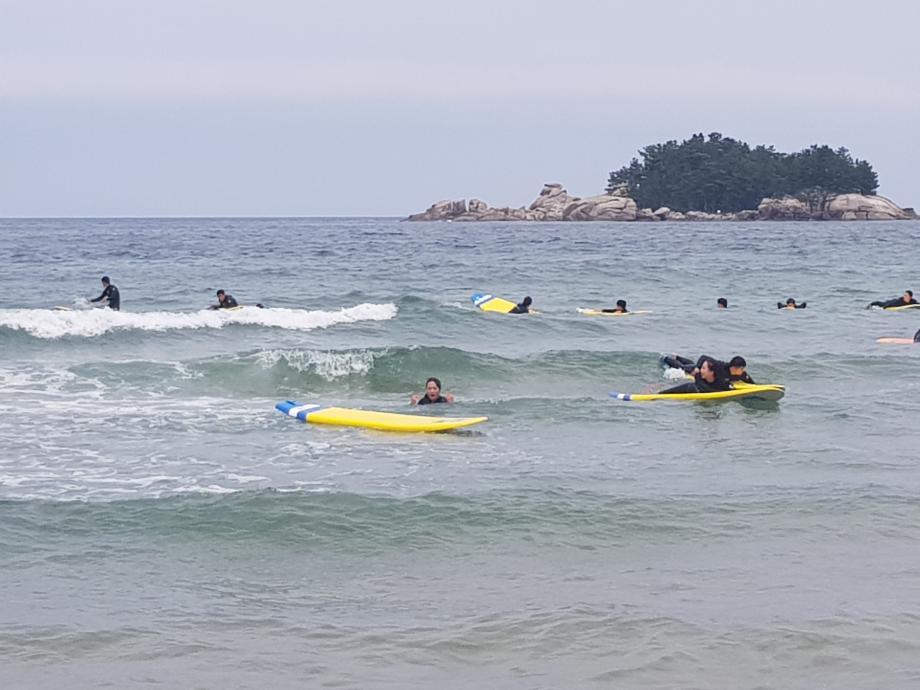 체육학전공 야외활동 수업 &#39;서핑&#39; 5