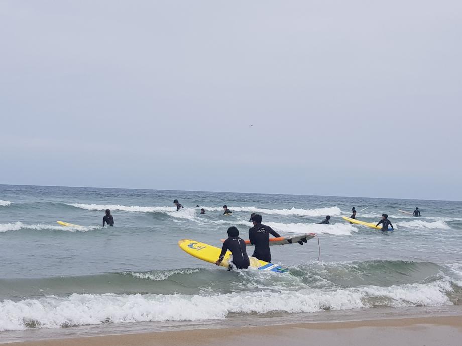 체육학전공 야외활동 수업 &#39;서핑&#39; 8