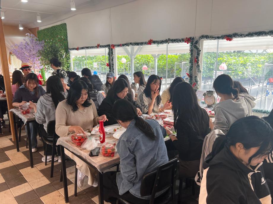 상지대학교 유아교육학과 1학년 딸기농장체험 8