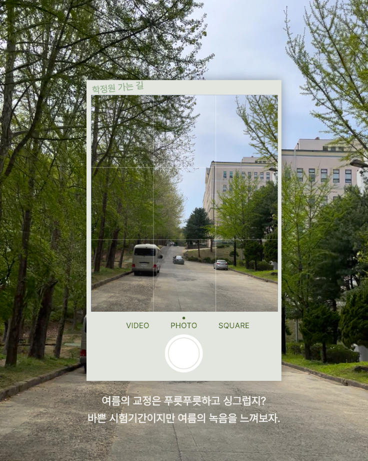 상지의 여름 캠퍼스 7