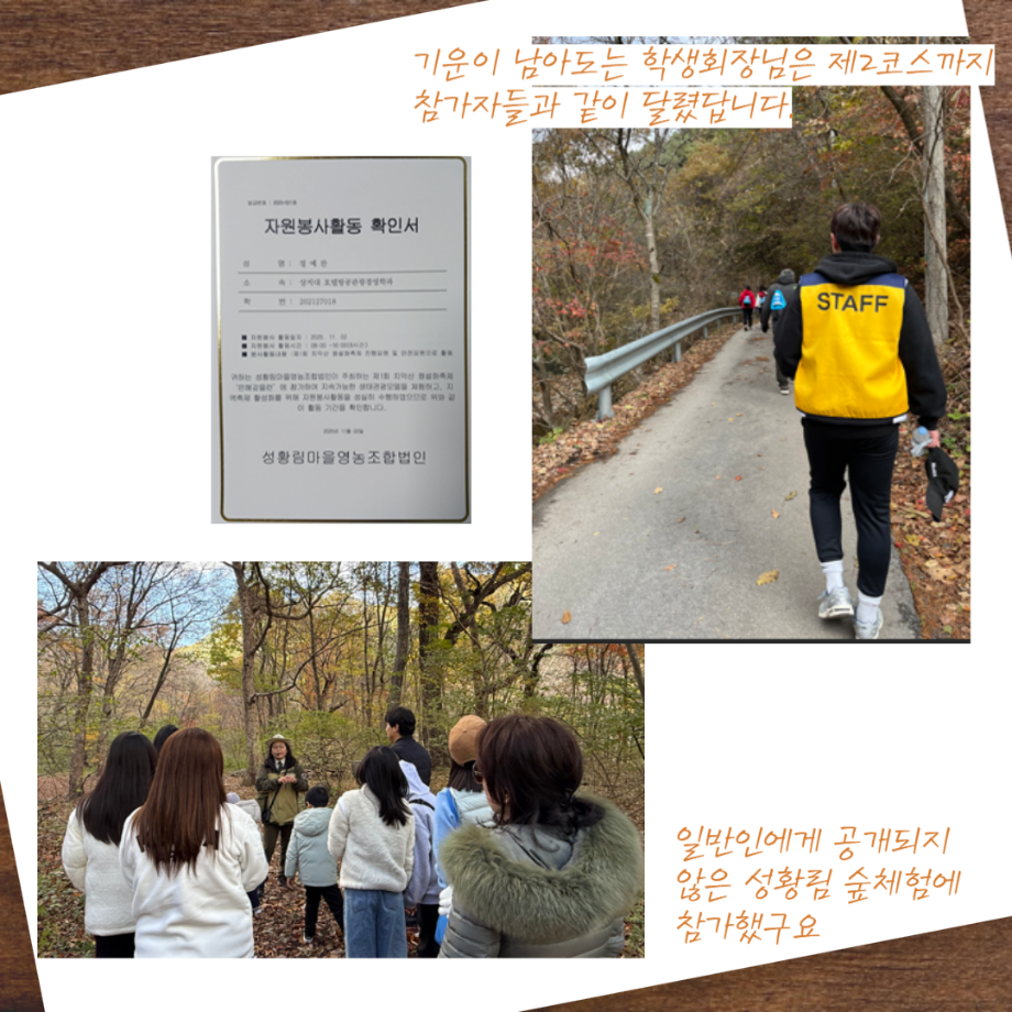 지역축제 봉사활동 8